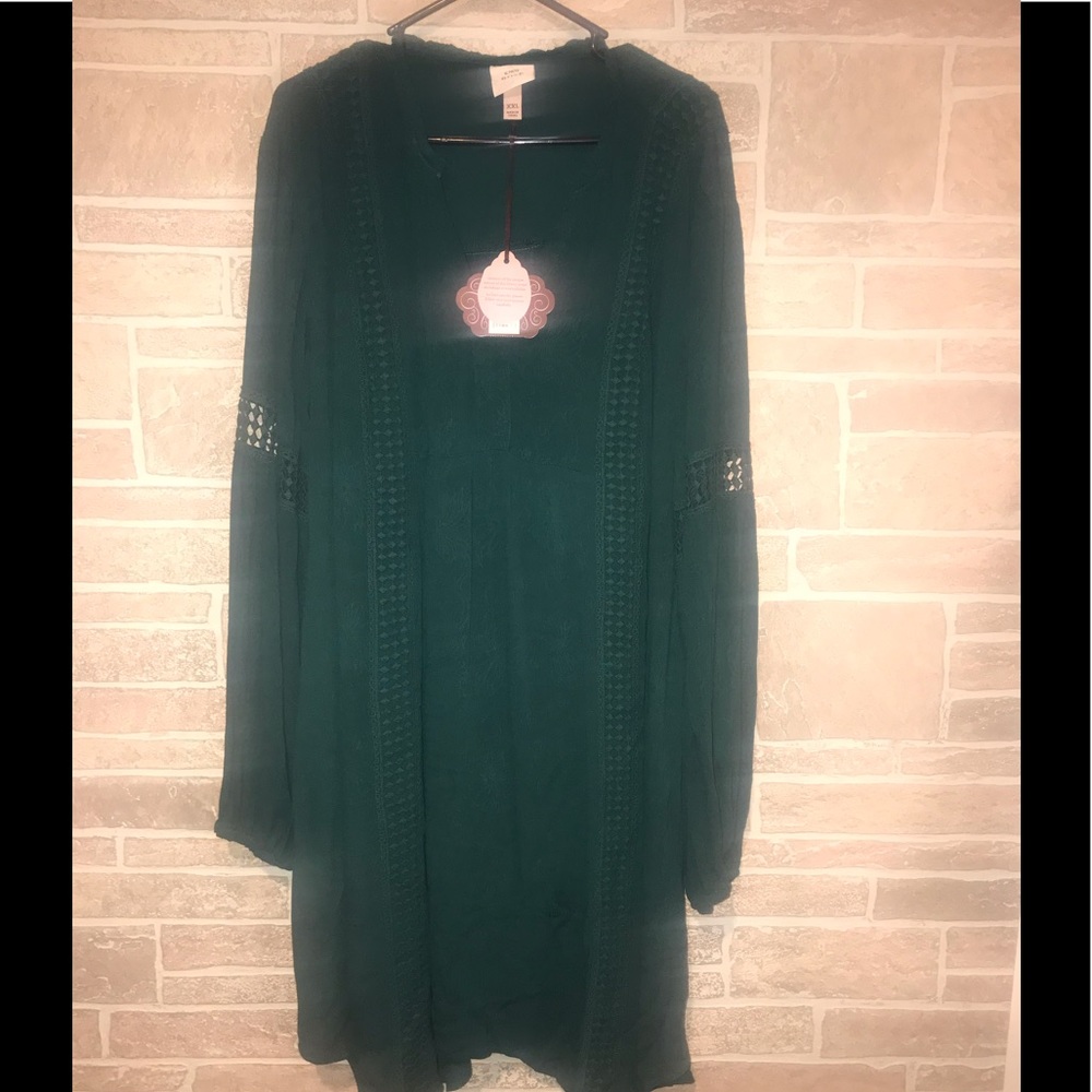 Knox Rose Lace Detail Plus Size Dress-size 2X
